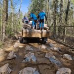 Ciągnik z drewnianą przyczepą na leśnej drodze. Robotnicy w niebieskich ubraniach unoszą worki. Rozrzucone worki z cementem na ziemi.