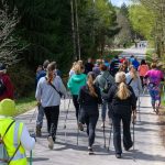 Grupa ludzi maszeruje z kijkami po leśnej drodze. Ubrania w jasnych kolorach, zieleń wokół. Słoneczny dzień, zalesione tło.