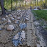 Na zdjęciu widoczne są worki z cementem na piaszczystej drodze. Tło stanowi las w odcieniach zieleni oświetlony zachodzącym słońcem. Po prawej stronie stoi traktor z przyczepą załadowaną materiałami.
