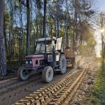 Traktor na leśnej drodze, czerwony, przewozi drewno w przyczepie. W tle wysoka zieleń. Słońce świeci między drzewami.
