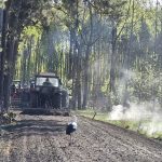 Na drodze między drzewami jedzie traktor, przed nim idzie bocian. Tło to zielony las, a w powietrzu widoczne są dymy. Kolory dominujące to zieleń i brąz.