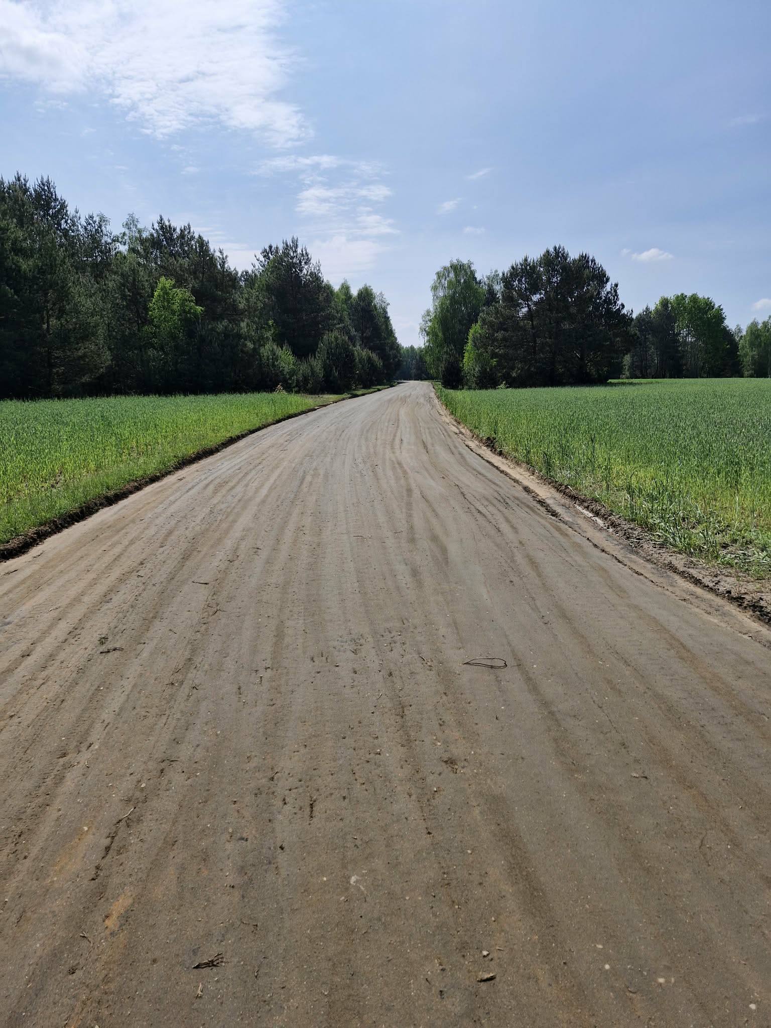 Szeroka, piaszczysta droga prowadzi przez zielone pola z lasem w tle. Drzewa są gęste, niebo jest jasnoniebieskie z chmurami. Droga biegnie na horyzoncie, tworząc spokojny pejzaż.