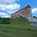 Ceglany zamek z czerwoną dachówką stoi na zielonym wzgórzu. W tle niebo z białymi chmurami. Obok prowadzi wąska droga.