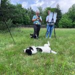 Na łące, dwie osoby malują na sztalugach, podczas gdy dwa psy bawią się trawie. W tle las pod niebieskim niebem. Kolory: zielony, biały, czarny.