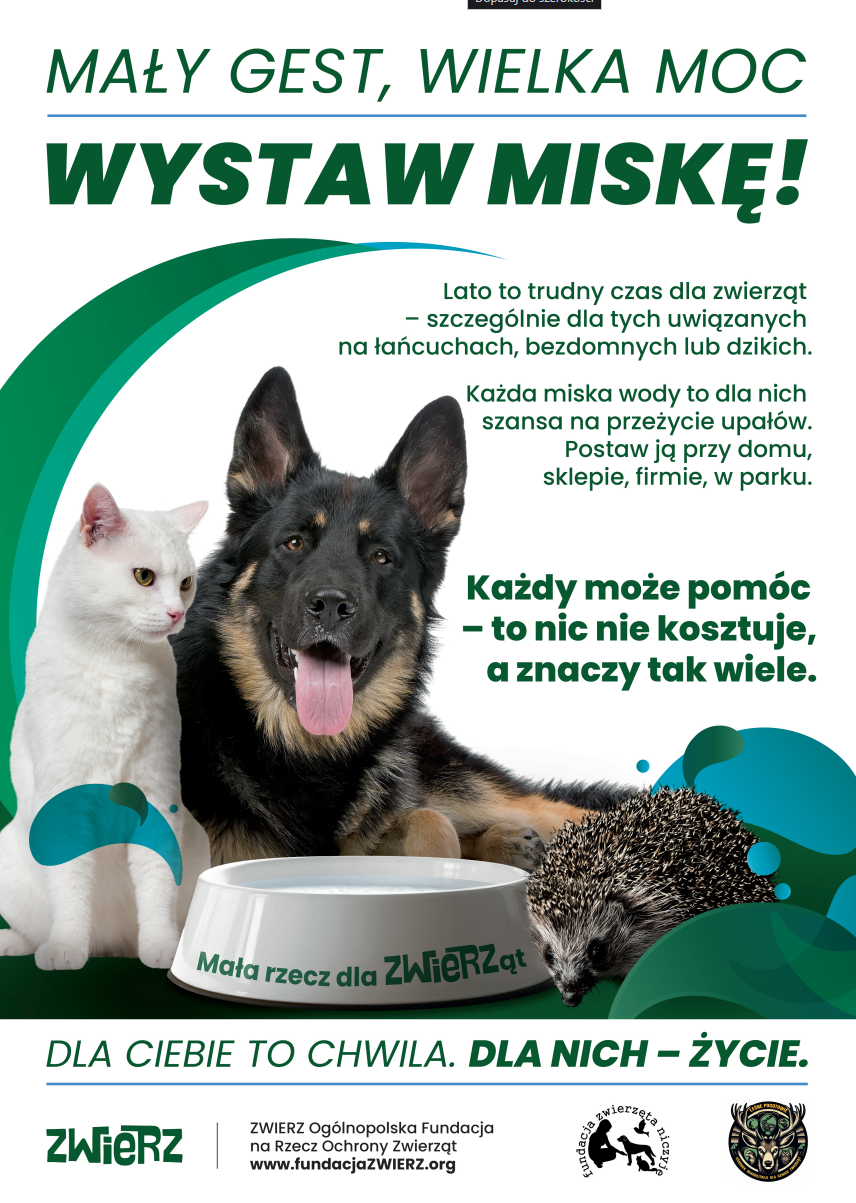 Kompozycja przedstawia psa, kota i jeża obok miski. Tekst zachęca do wystawienia wody dla zwierząt latem. Tło jest białe z zielonymi akcentami.