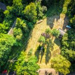 Zdjęcie przedstawia leśną polanę z grupą ludzi, otoczoną drzewami. Na ziemi widać cienie, jest jasny, słoneczny dzień. W tle są budynki z czerwonymi dachami i zaparkowane auta.