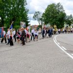 Grupa ludzi maszeruje ulicą, wielu z flagami i sztandarami. Tło stanowią drzewa i budynki. Na niebie jasne chmury.