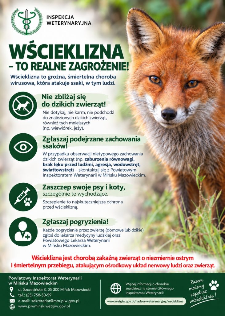 Plakat o wściekliźnie z pomarańczowym lisem na zielonym tle. Zawiera ostrzeżenia i zalecenia dotyczące unikania dzikich zwierząt. Po lewej stronie ikony przedstawiające zwierzę, oko, strzykawkę i krzyż medyczny.